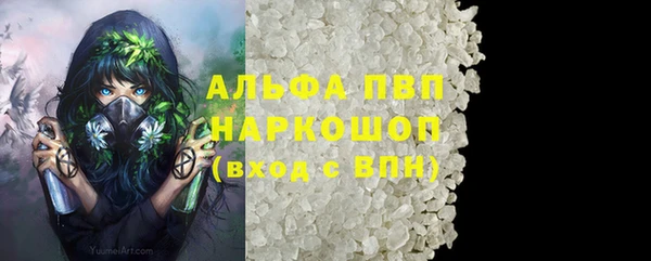 шишки Тында
