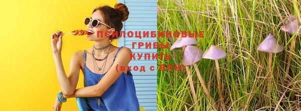 МДПВ Киренск