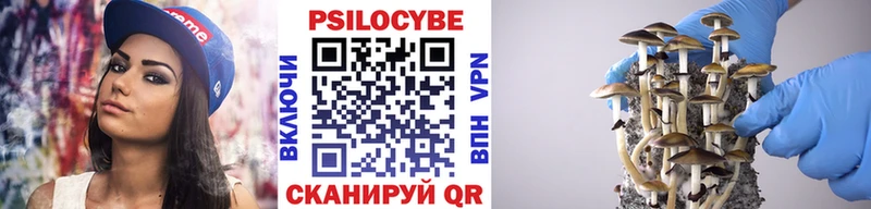 OMG ССЫЛКА  shop официальный сайт  Норильск  Псилоцибиновые грибы Psilocybe  дарнет шоп 